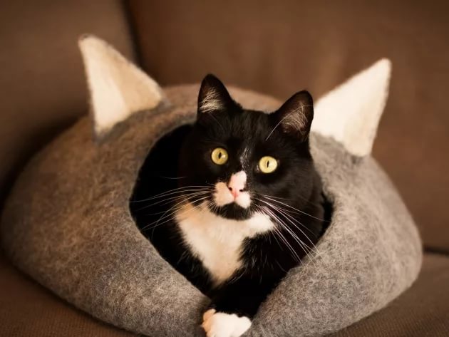 Домики для кошек