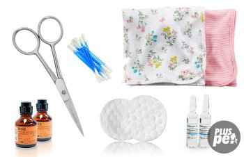 Беременность шотландских кошек