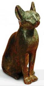 Абиссинская кошка