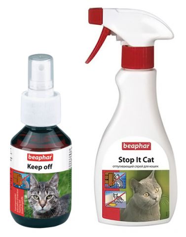 Как отучить кошку гадить