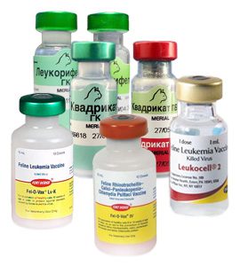 Инактивированные вакцины для кошек