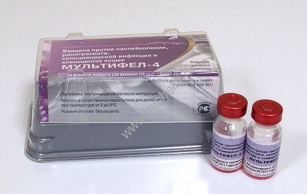 Инактивированные вакцины для кошек