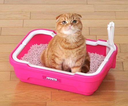 Гликопин для кошек