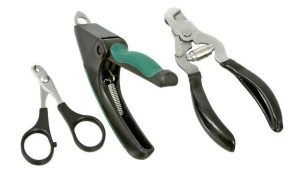 Как подстричь когти кошке