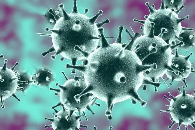 Перитонит у кошек