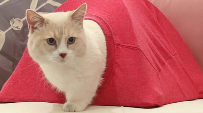 Домики для кошек