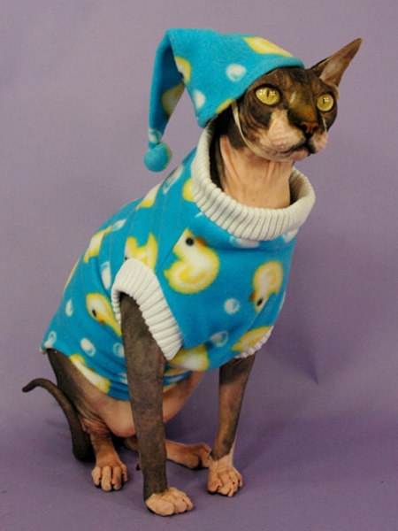 Одежда для кошек