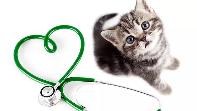 Фоспренил для кошек