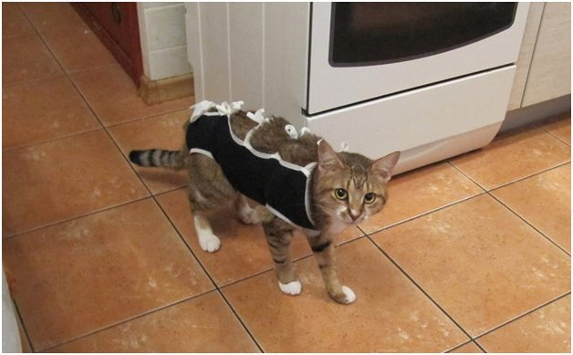 Опухоль молочной железы