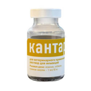 Кантарен для кошек