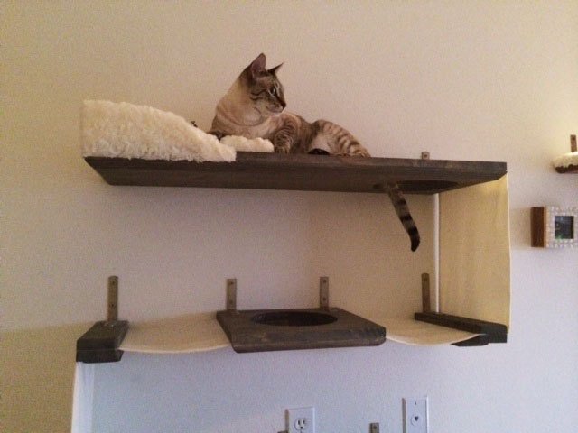 Домики для кошек