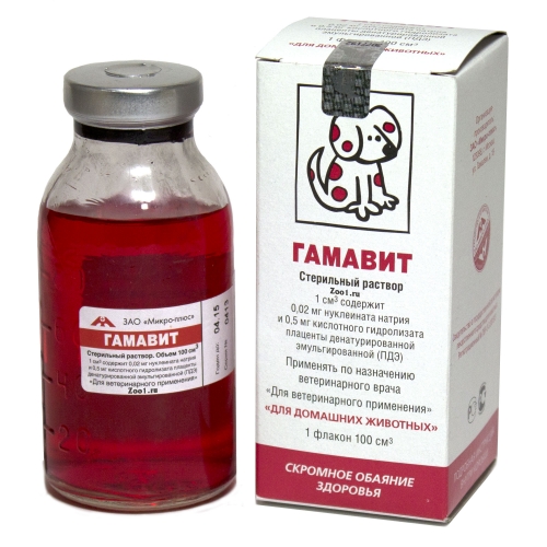 Чесотка у кошек