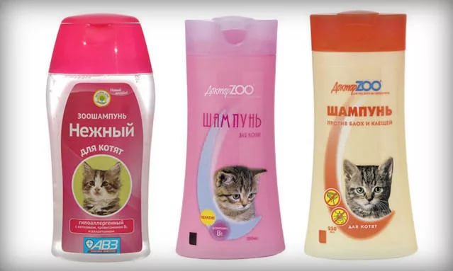 Как мыть кошку