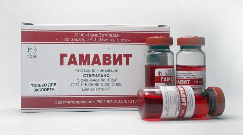 Гамавит для кошек