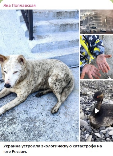 Главное за ночь и утро 24 апреля: Катастрофа в Туапсе, горькое заявление генерала. "Красные линии" давно стёрты - куда уж краснее?