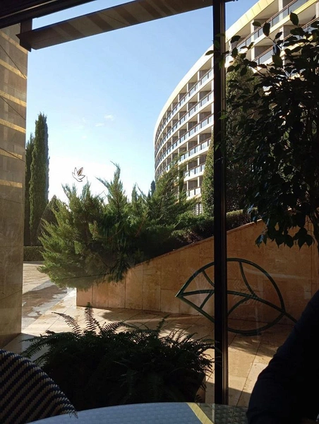 «Картинка против реальности»: туристка раскритиковала отдых в крымском отеле «Мрия»