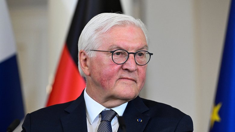Эксперт оценил кандидатуру Штайнмайера на роль переговорщика между ЕС и РФ