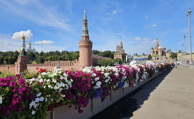 Главком сил БПЛА ВСУ: Атака «великой стены» 9 Мая — зря потраченные дроны